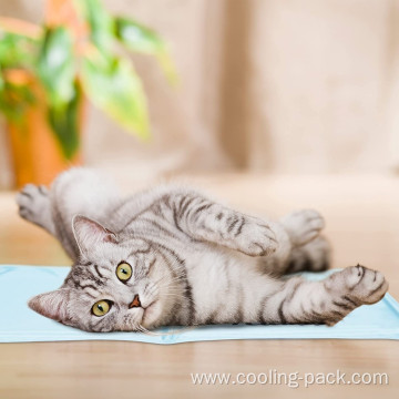 products Cat lce pad Cat cooling pad